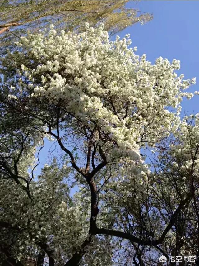 当有人跟你提出大别山的时候，你首先想到的是什么？