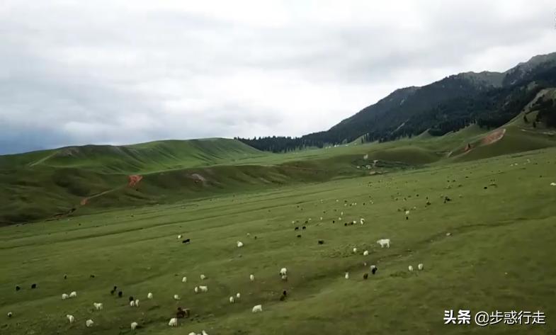 去大西北旅游，有些什么好建议，好吃好玩的有何推荐？