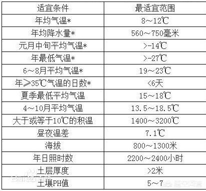 甘肃庆阳苹果和山东烟台苹果哪个更好？