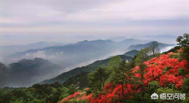 当有人跟你提出大别山的时候，你首先想到的是什么？