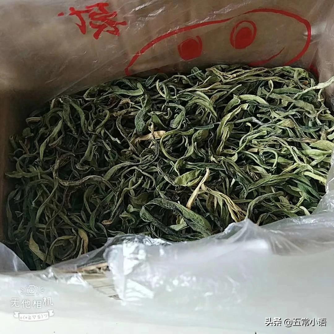 到了秋天，很多农村老人都会晒干菜，农村有哪些干菜可以晒干了冬天吃？