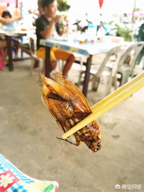 旅游时发现自己从来没有吃到过的美食有哪些？