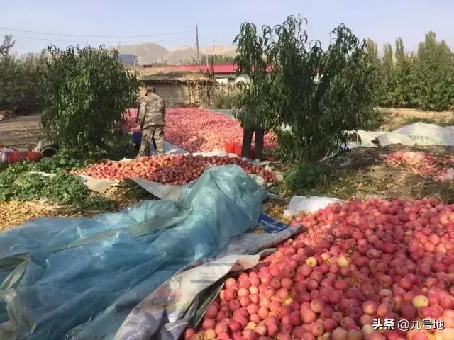 怎样做才能把本地农产品最快地销售出去？