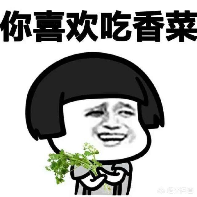 北京人为什么那么喜欢吃香菜呢？