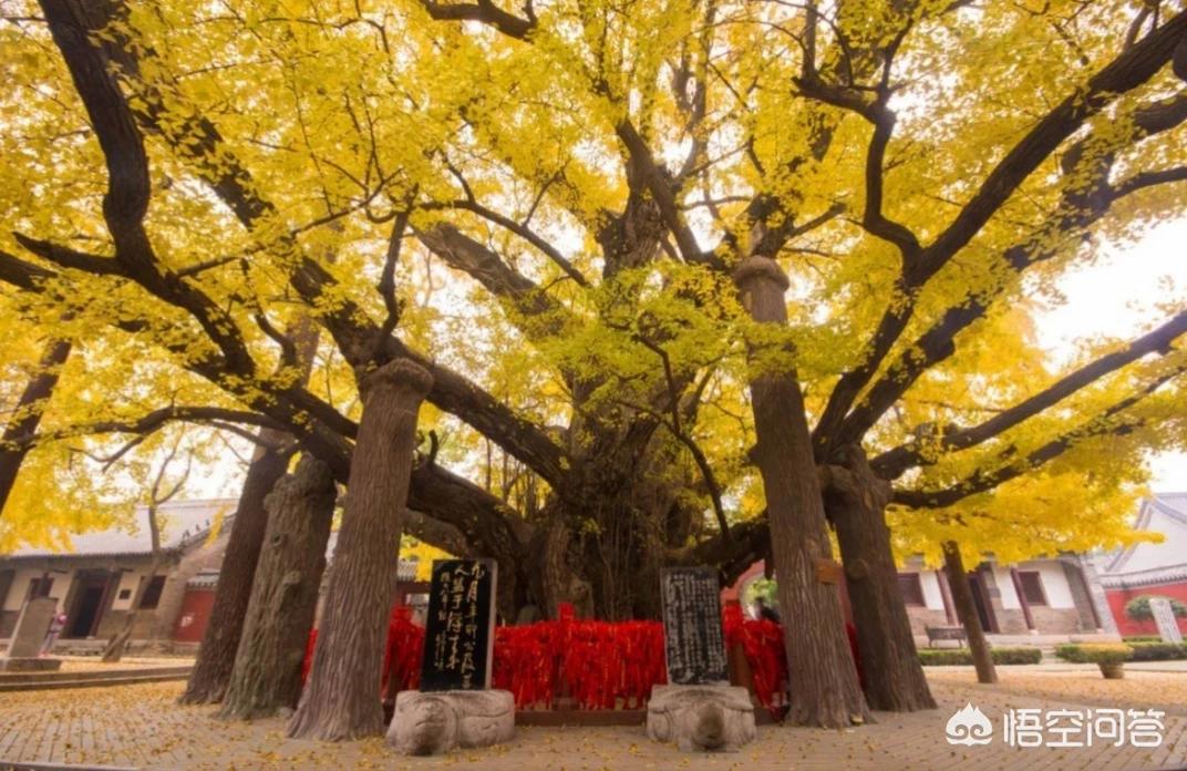 你知道有哪些好吃好喝的地方？来一次美食之旅？