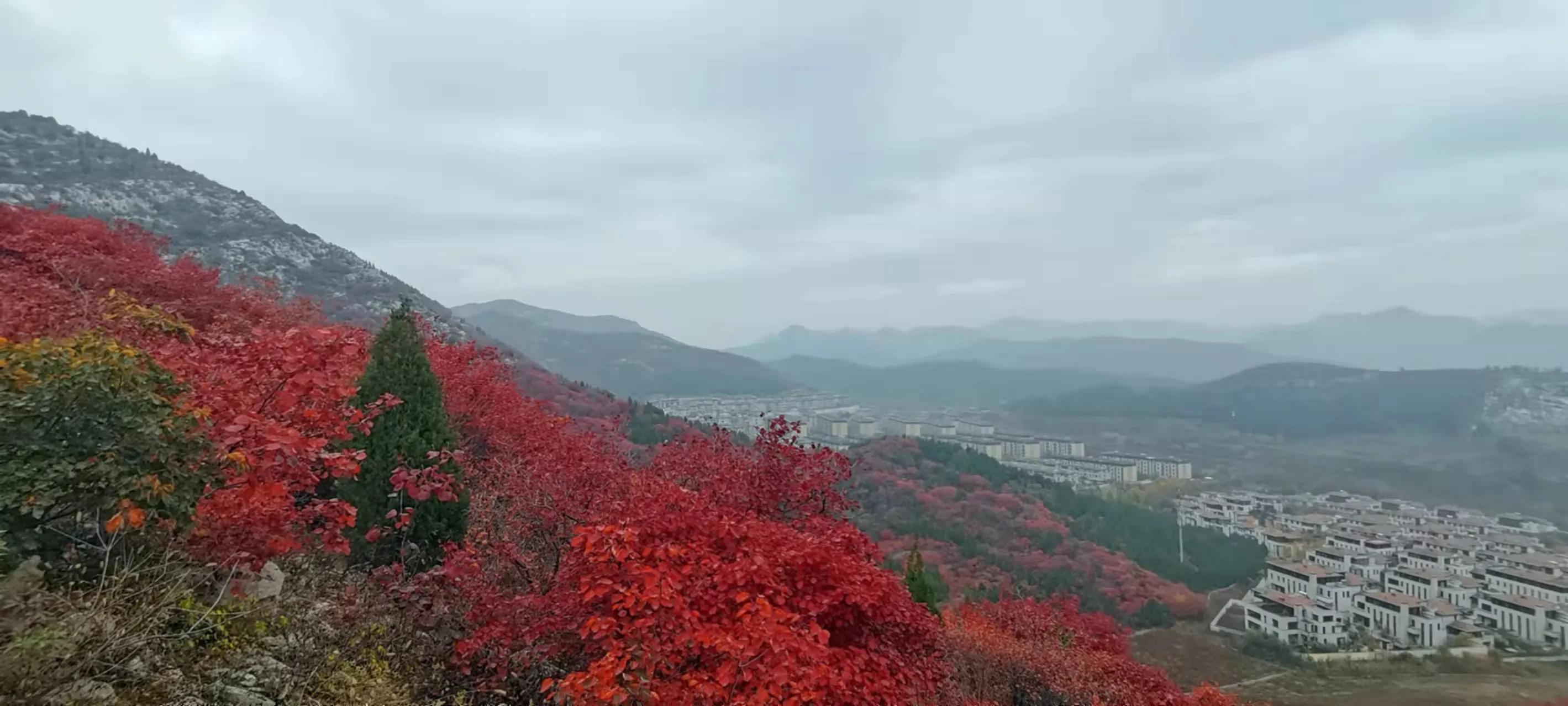 每个人都有自己的小时候，有哪些好玩、好吃的说一说晒一晒？