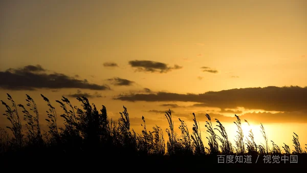 去内蒙古旅游大概需要多少钱