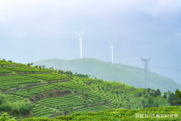 避暑胜地莫干山消费很高吗？有没有不收门票的景点和停车场？