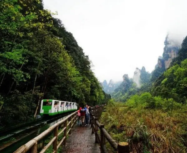 天门山和森林公园哪个更适合情侣游玩?