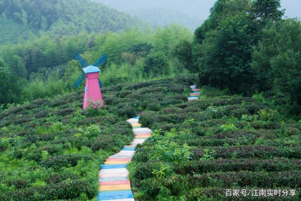 避暑胜地莫干山消费很高吗？有没有不收门票的景点和停车场？