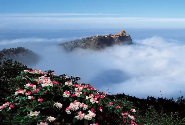 峨眉山景区门票185包括哪些景点