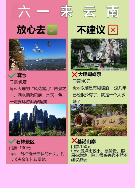 假期约同学去云南旅游攻略