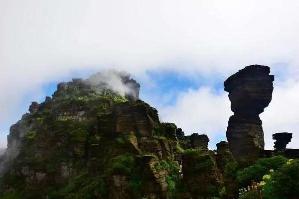 四川的峨眉山与贵州的梵净山相比，哪个景区更值得去旅游？