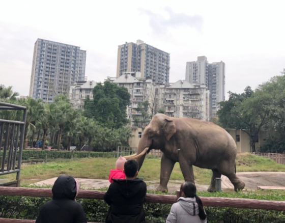 我想问以下重庆市那个动物园最好玩