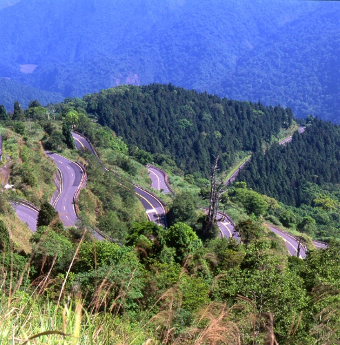 太平山景区的台湾太平山