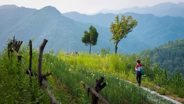 洛阳栾川王府竹海景区，大家觉得什么时候去比较合适呢？