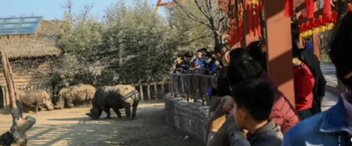 济南一景区停车场被挤爆，你喜欢在人多的时候去旅行还是人少的时候？