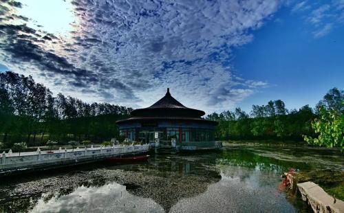 去鞍山旅游的话,买点什么回来比较好呢?