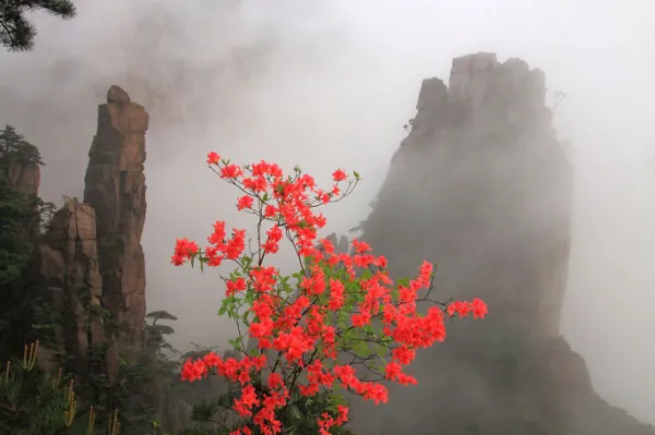 求去黄山游玩的攻略。