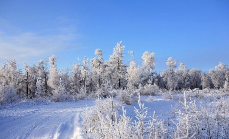 内蒙古阿尔山国家森林公园内突降瑞雪,给万里林海增添了哪些色彩?