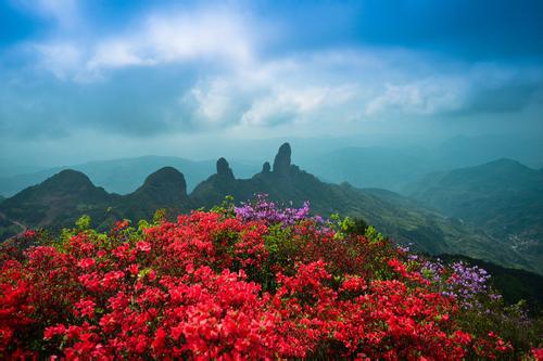 求遂昌旅游南尖岩、神龙谷、千佛山、汤沐园温泉等景点2-3日游最佳路...