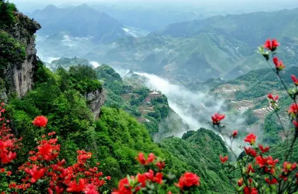 利川苏马荡旅游高峰每天人流多少?