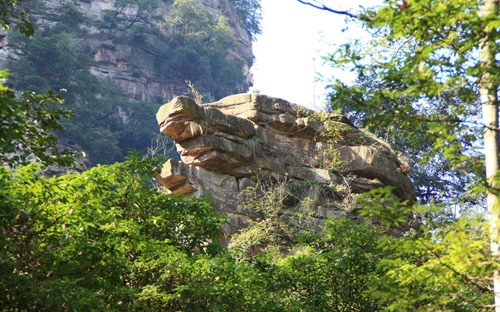 张家界旅游需要几天呢，三日游需要多少钱