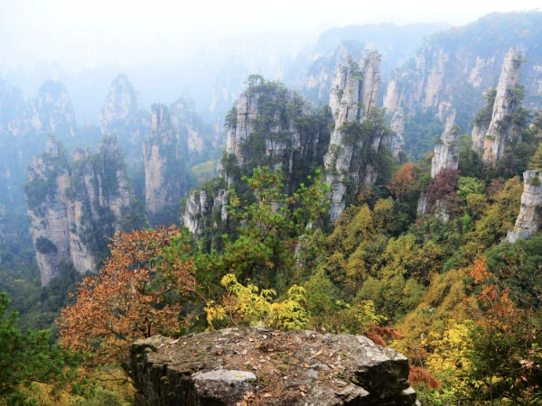 天子山景区在哪里