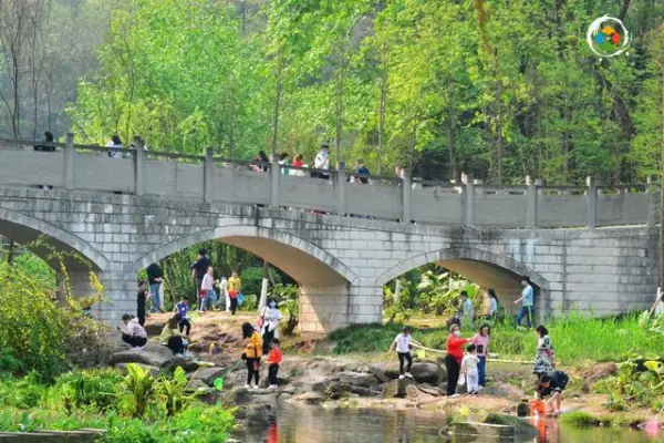 重庆都有哪些湿地公园？