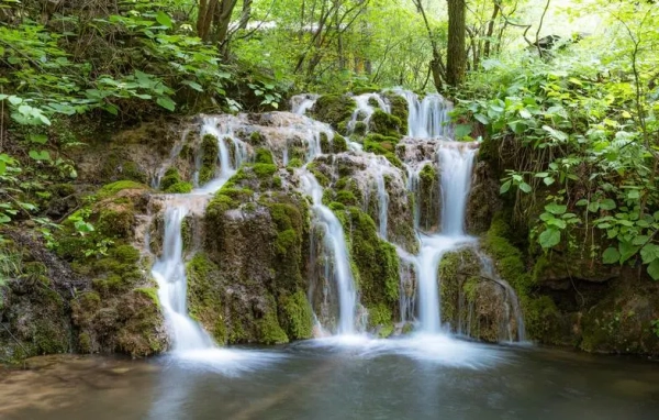 洛阳栾川王府竹海景区，大家觉得什么时候去比较合适呢？