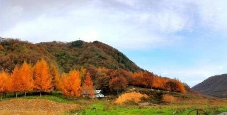 湖北神龙架的“世外桃源”，如仙境般的大九湖美景，你见过吗？