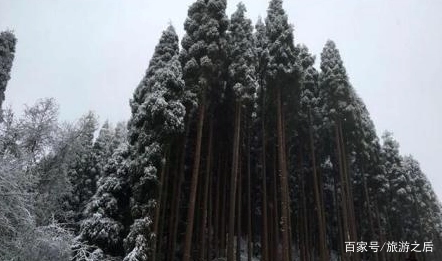 成都户外探险的好地方，鸡冠山冬季可以自由滑雪吗？