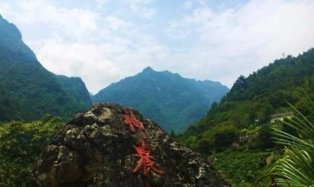 湖北神龙架的“世外桃源”，如仙境般的大九湖美景，你见过吗？