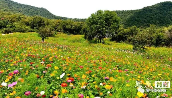 黛眉山景区可以坐船吗？