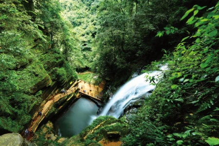 我想知道雅安碧峰峡的门票和各景点的票价