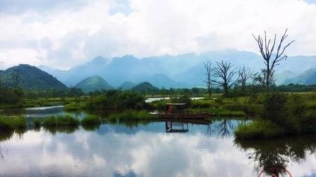 湖北神龙架的“世外桃源”，如仙境般的大九湖美景，你见过吗？