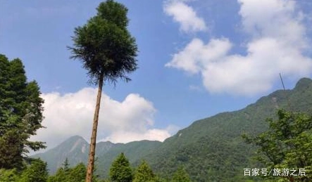 成都户外探险的好地方，鸡冠山冬季可以自由滑雪吗？