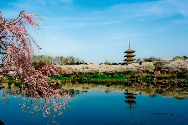 东湖磨山风景区的介绍