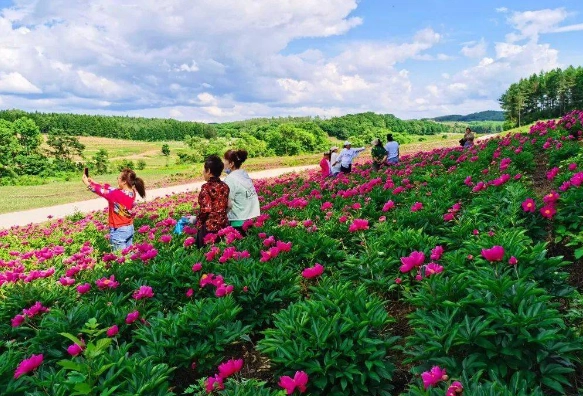 吉林百花谷景区介绍