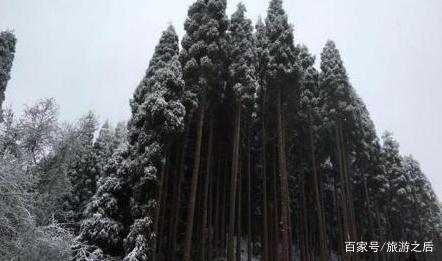 成都户外探险的好地方,鸡冠山冬季可以自由滑雪吗?