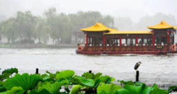 大明湖雨后群鱼跃出水面，多条鱼跳上游船，这一场景预示着什么？