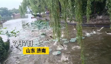 大明湖雨后群鱼跃出水面,多条鱼跳上游船,这一场景预示着什么?