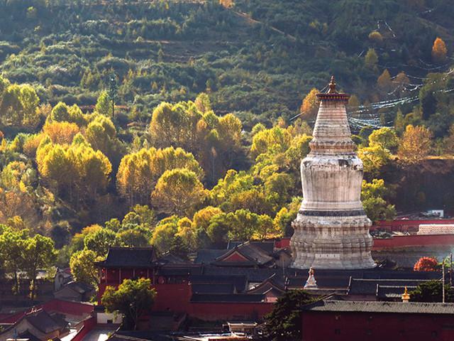 如果你在五台山只有一天的时间你会游览哪几个寺庙?