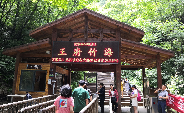 洛阳栾川王府竹海景区,大家觉得什么时候去比较合适呢?