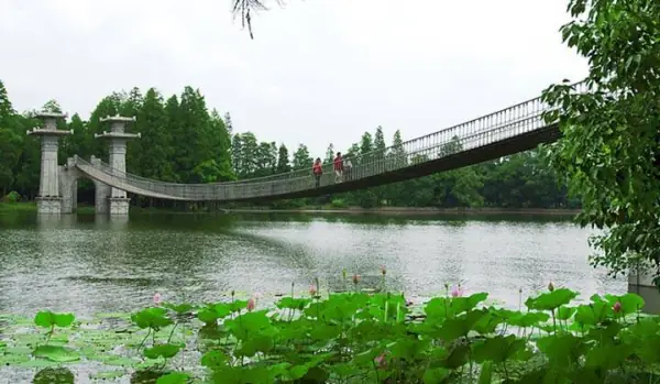 东湖落雁景区的介绍