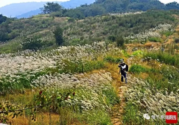 黛眉山景区可以坐船吗？