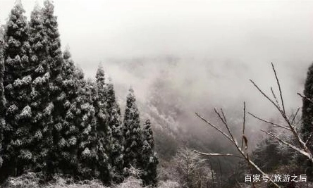 成都户外探险的好地方，鸡冠山冬季可以自由滑雪吗？