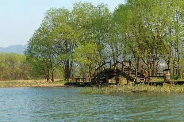 被誉为杭州“三西”之一的西溪湿地景区,有什么美景?