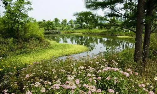 被誉为杭州“三西”之一的西溪湿地景区，有什么美景？