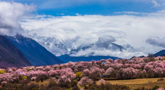 林芝昌都拉萨旅游攻略